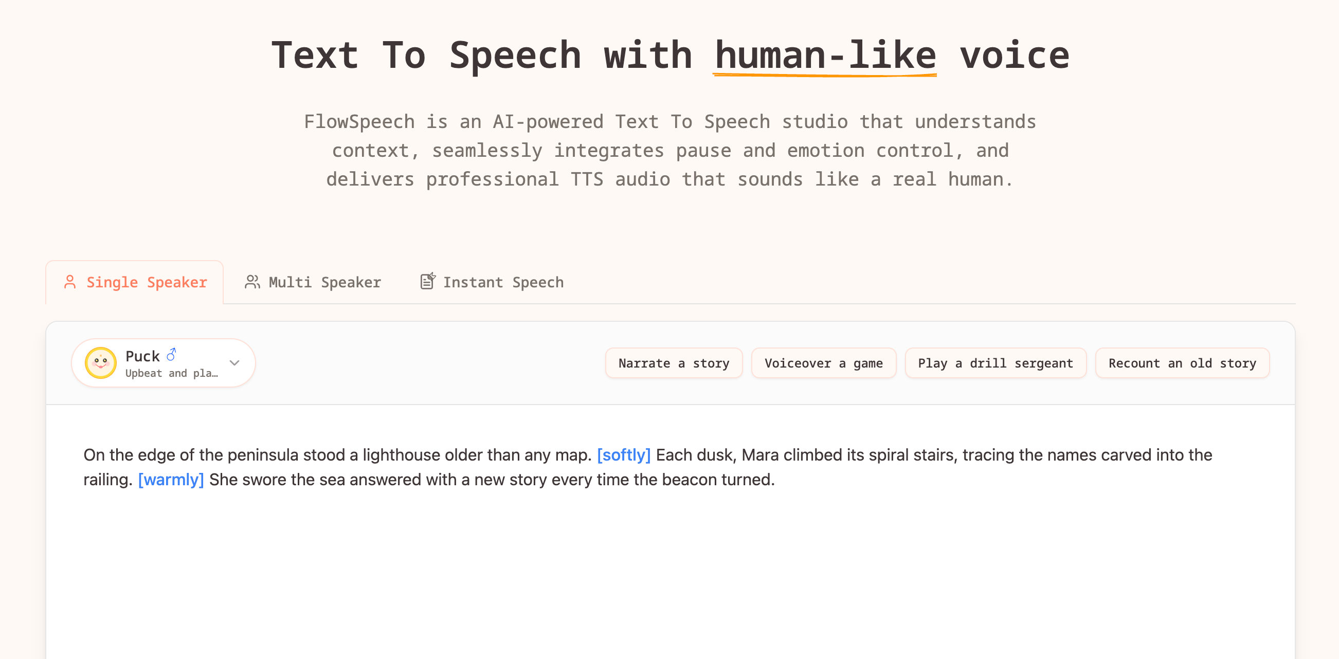 FlowSpeech interface preview